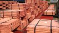 Suppliers of copper cathodes from Zambia, Congo, and South Africa