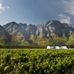 in a vineyard in Franschoek, about 80 km from Cape Town, specializing in the production of Cap Classique sparkling wine
