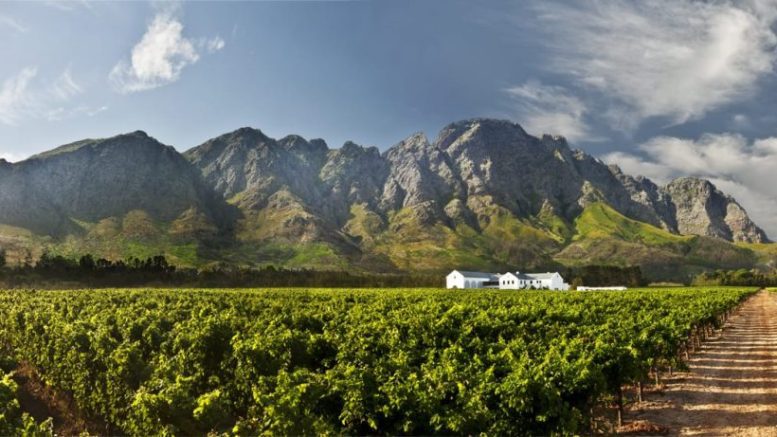 en un viñedo de Franschoek, a unos 80 km de Ciudad del Cabo, especializado en la producción de vino espumoso Cap Classique