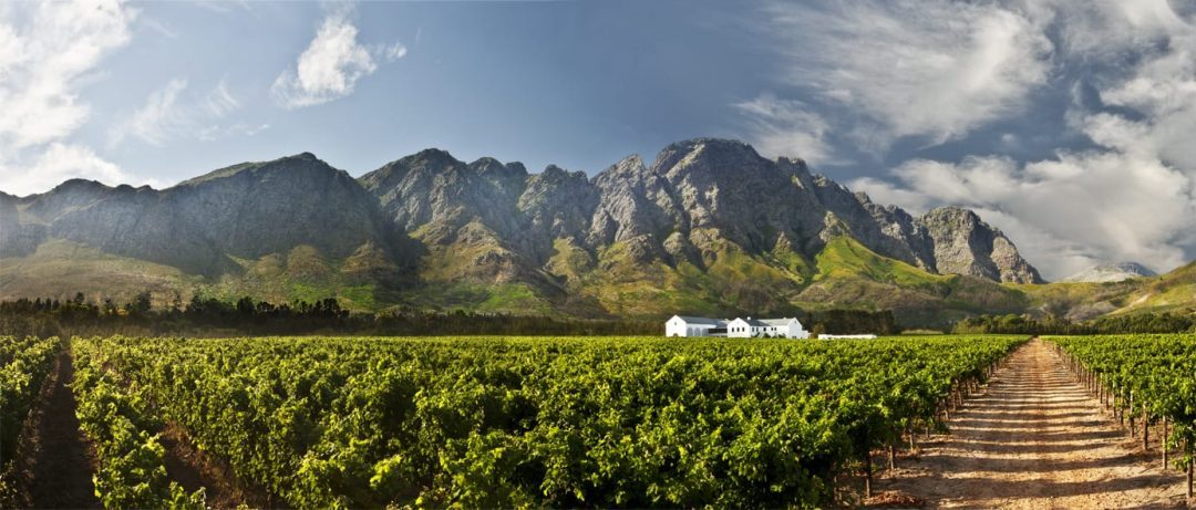 dans un vignoble à Franschoek, à environ 80 km du Cap, spécialisé dans la production de vin mousseux Cap Classique