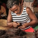Why Madagascar Vanilla is Considered a Golding opportunity