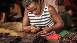 Why Madagascar Vanilla is Considered a Golding opportunity