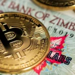 Zimbabwe's - Numérique - Monnaie